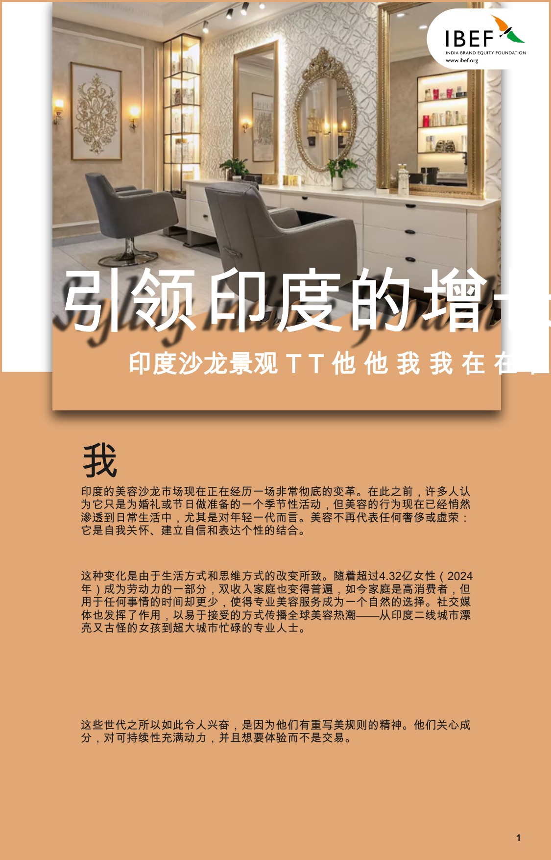 印度沙龙景观：引领印度的增长.pdf