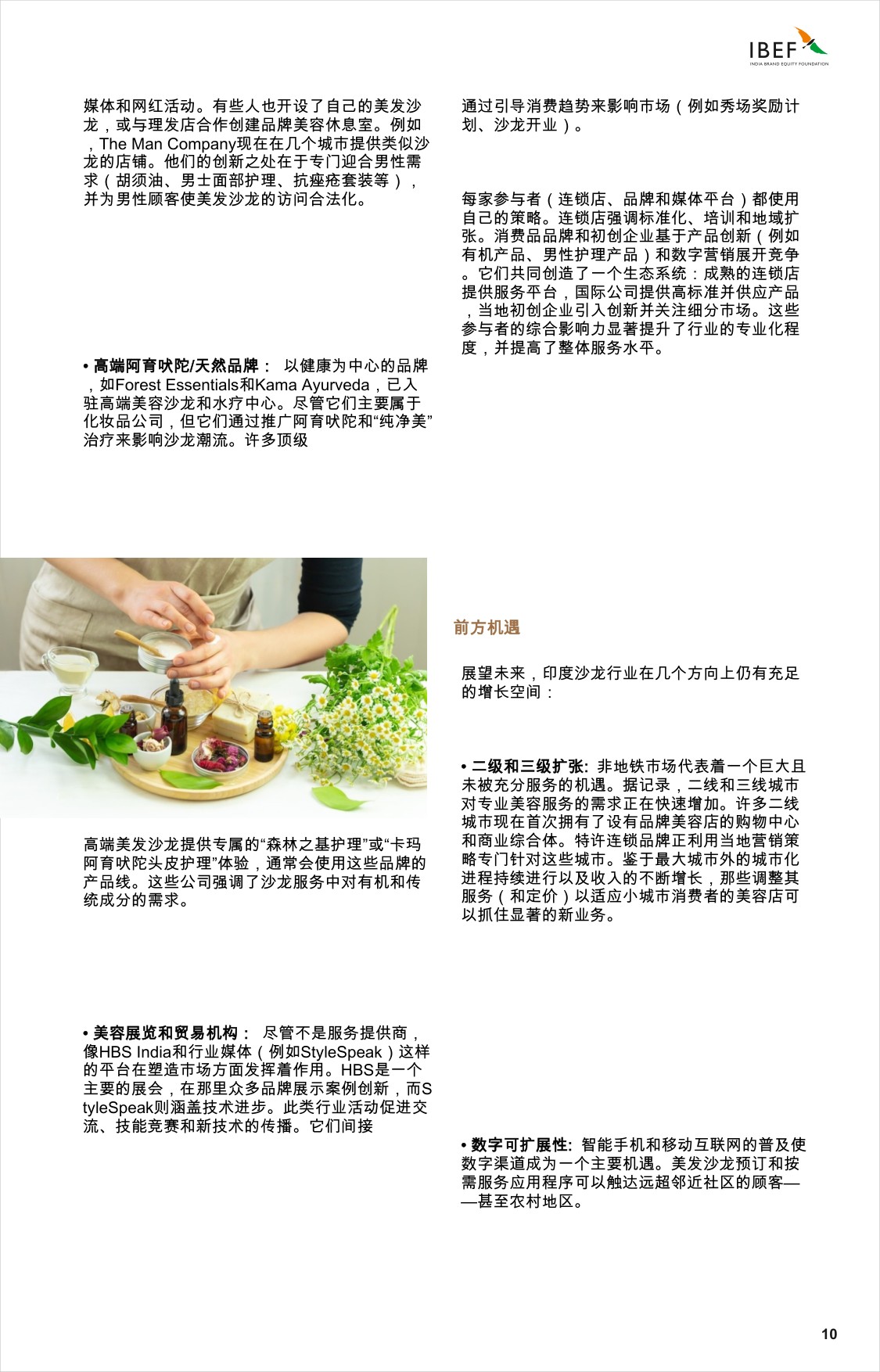 印度沙龙景观：引领印度的增长.pdf