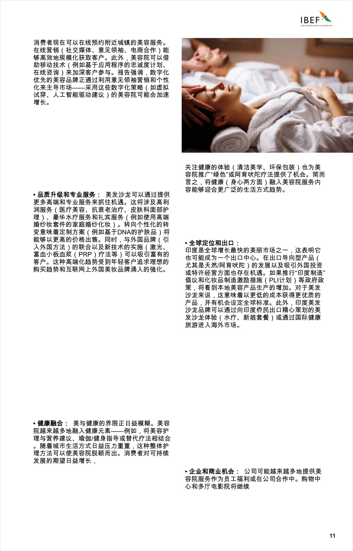 印度沙龙景观：引领印度的增长.pdf