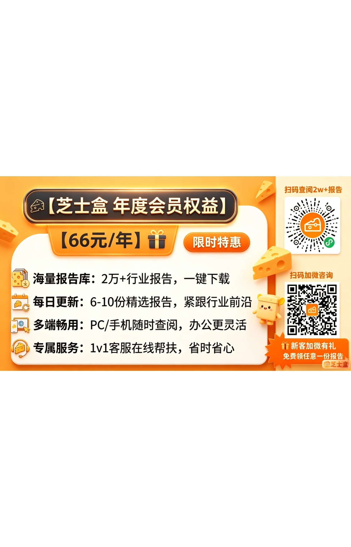印度沙龙景观：引领印度的增长.pdf