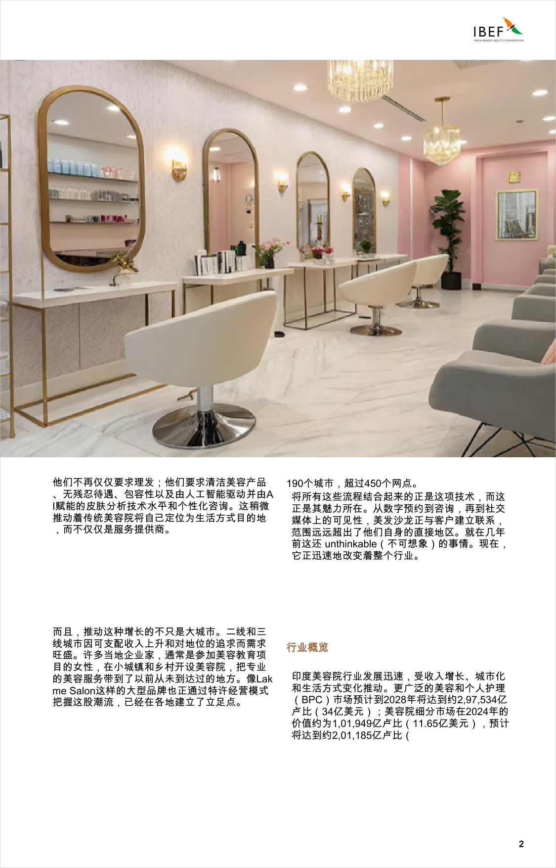 印度沙龙景观：引领印度的增长.pdf