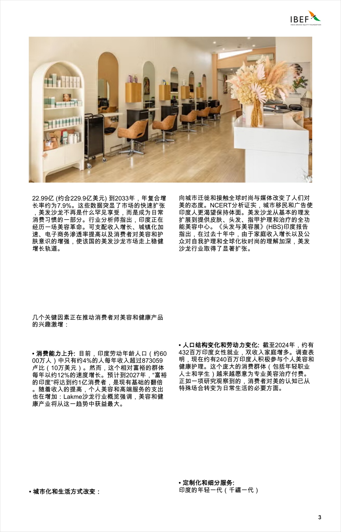 印度沙龙景观：引领印度的增长.pdf
