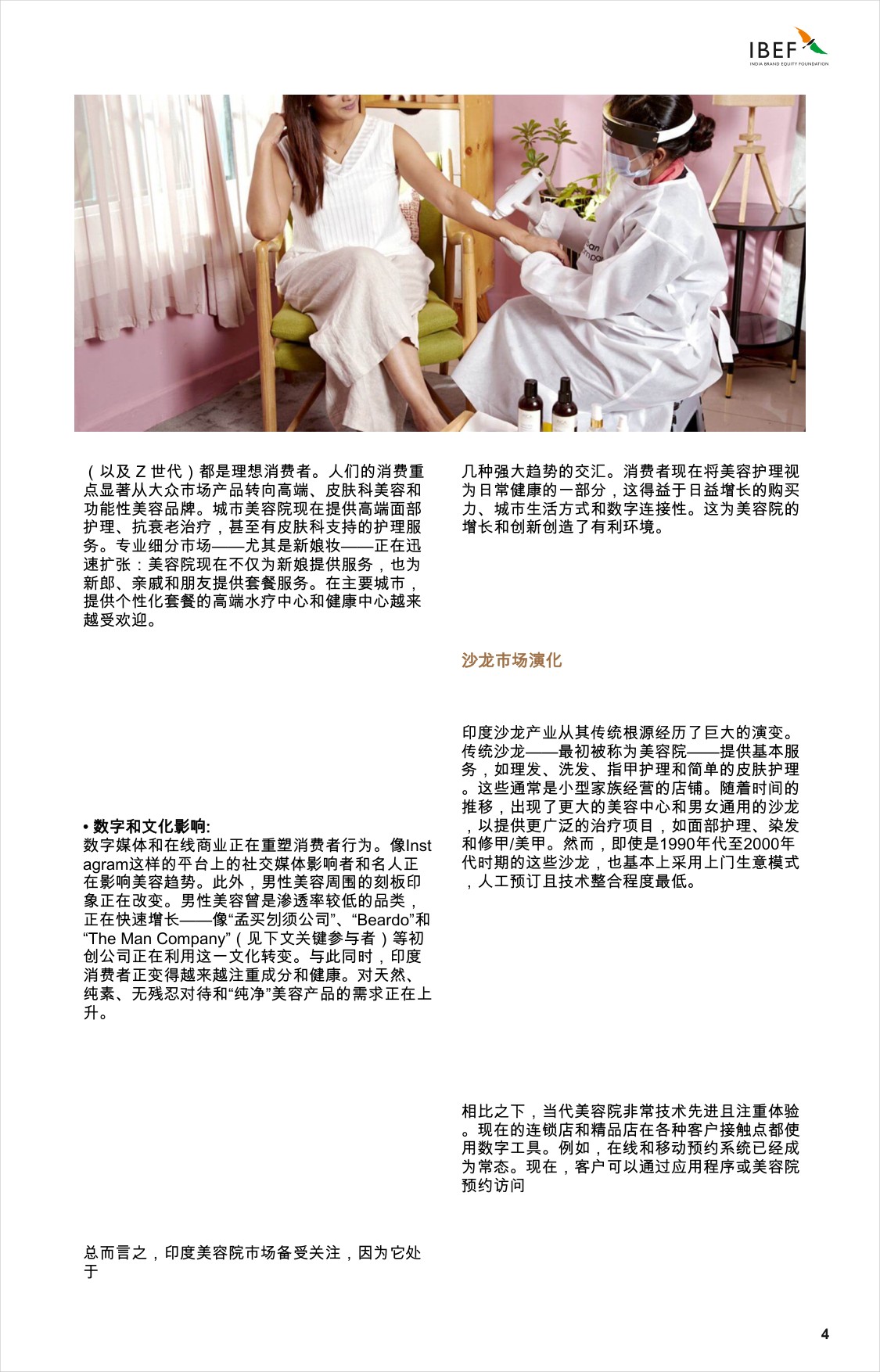 印度沙龙景观：引领印度的增长.pdf