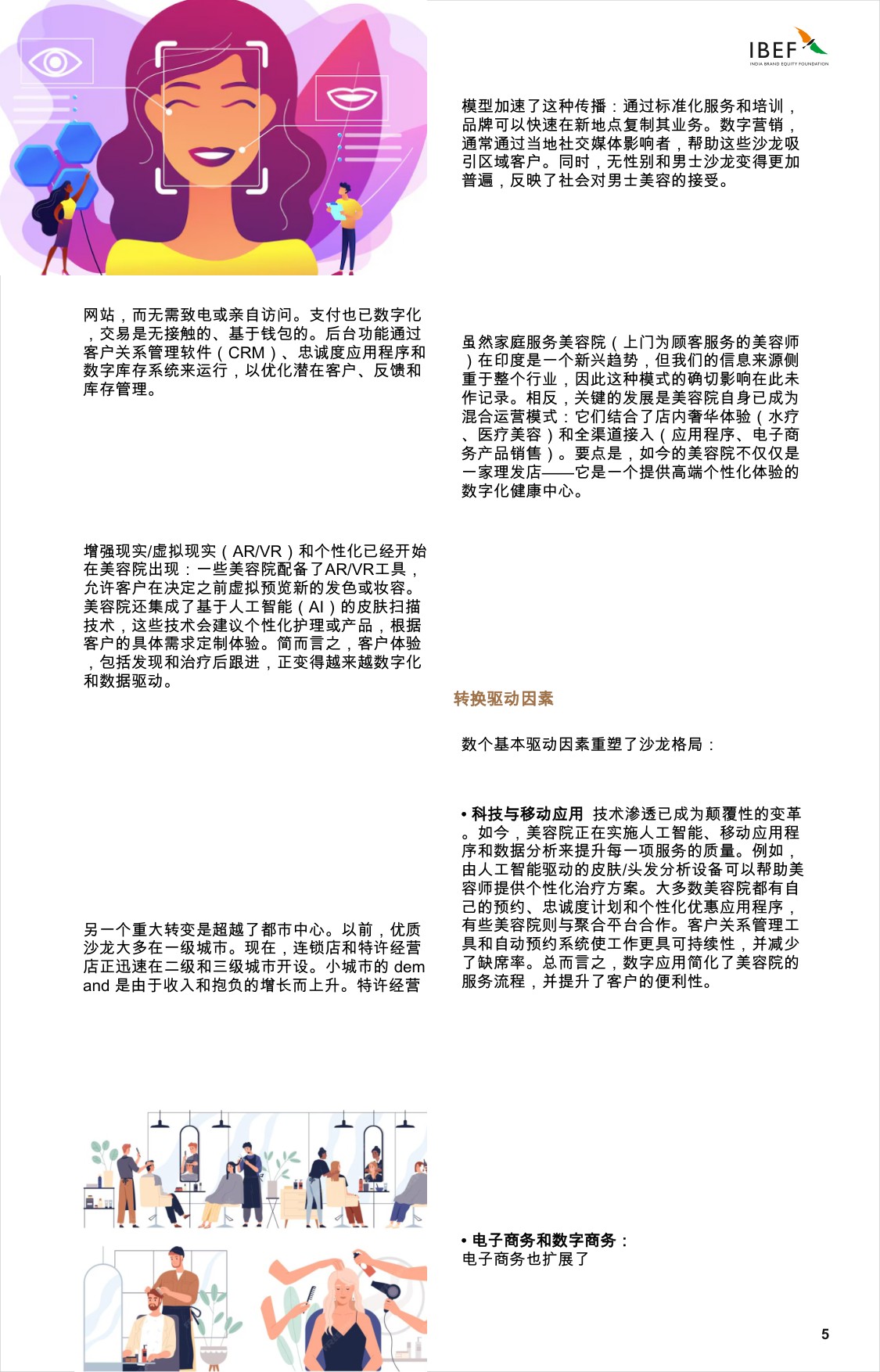 印度沙龙景观：引领印度的增长.pdf
