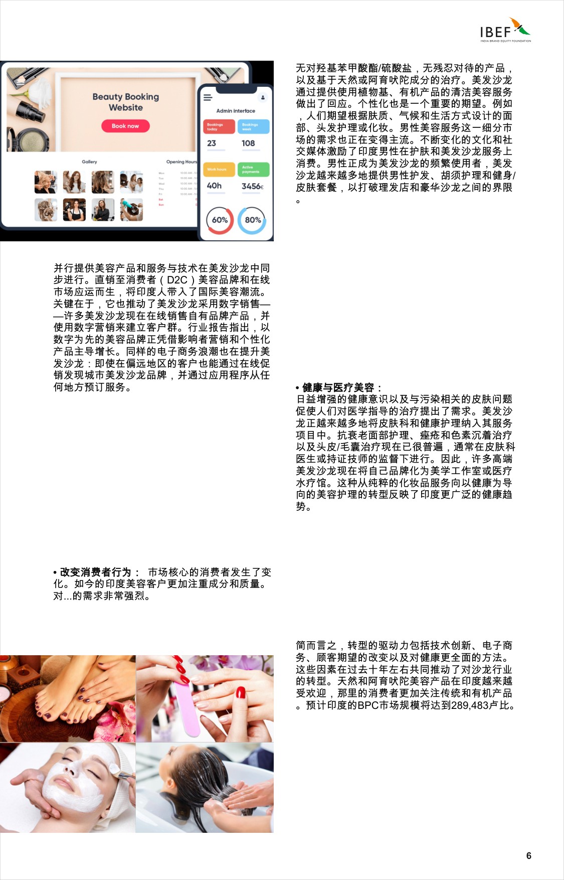 印度沙龙景观：引领印度的增长.pdf
