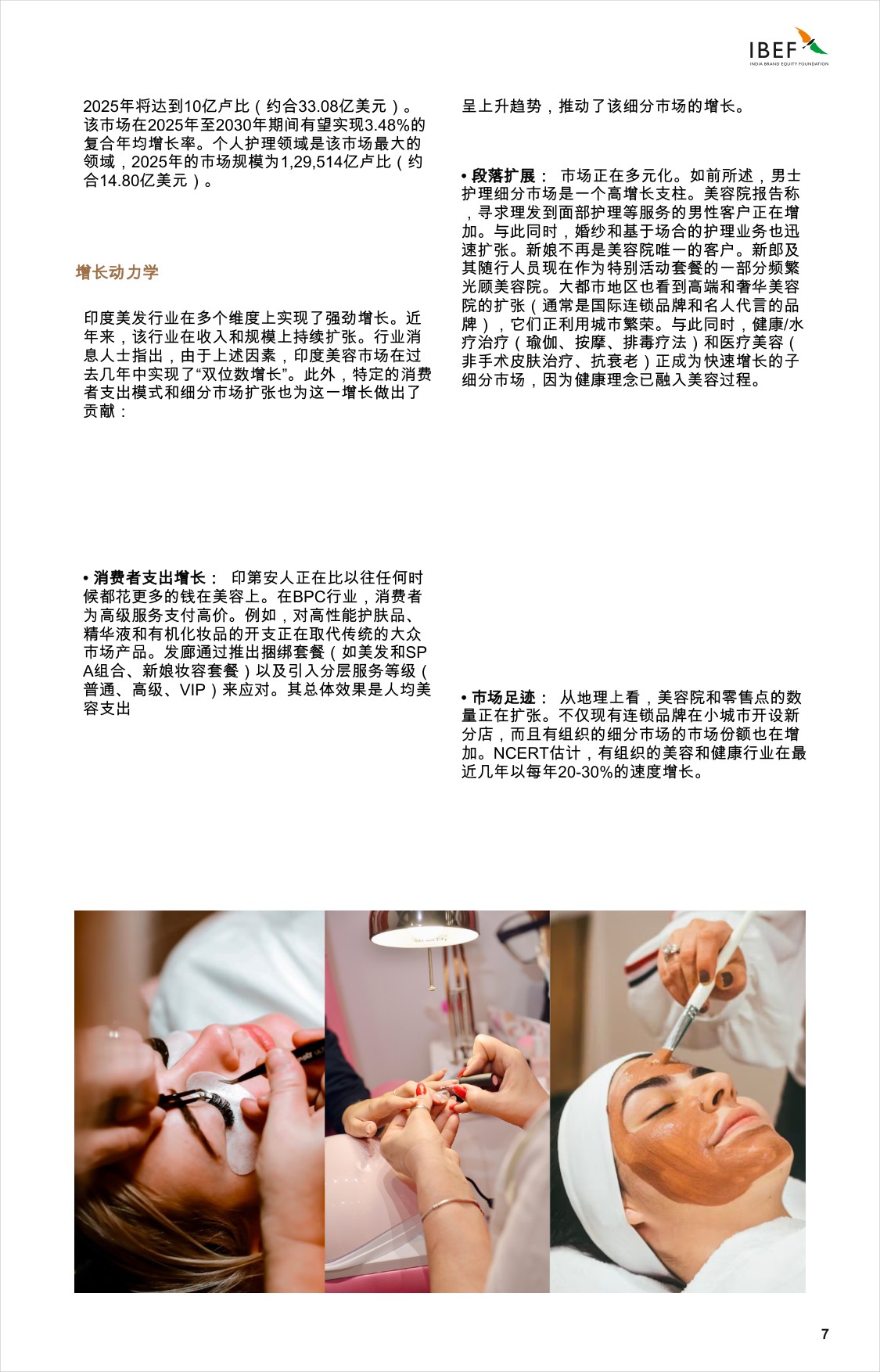 印度沙龙景观：引领印度的增长.pdf
