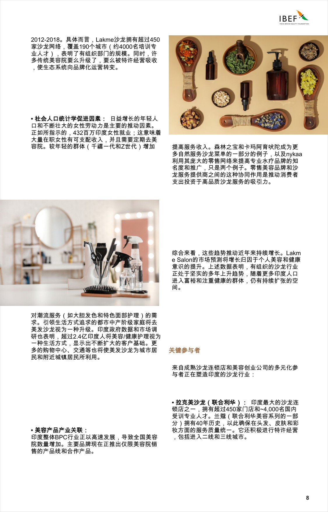 印度沙龙景观：引领印度的增长.pdf
