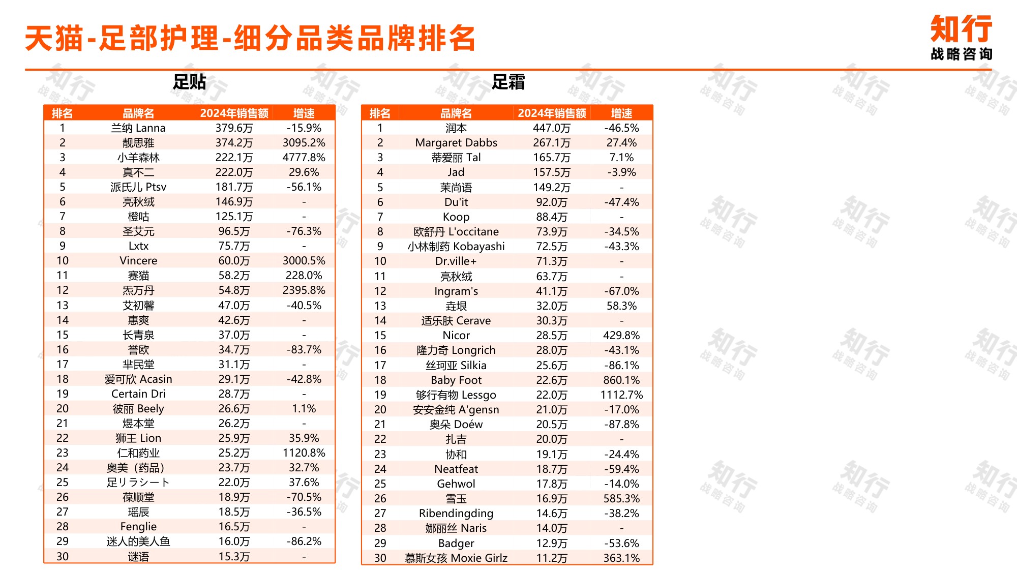 知行战略咨询：2025年足部护理电商消费趋势报告.pdf