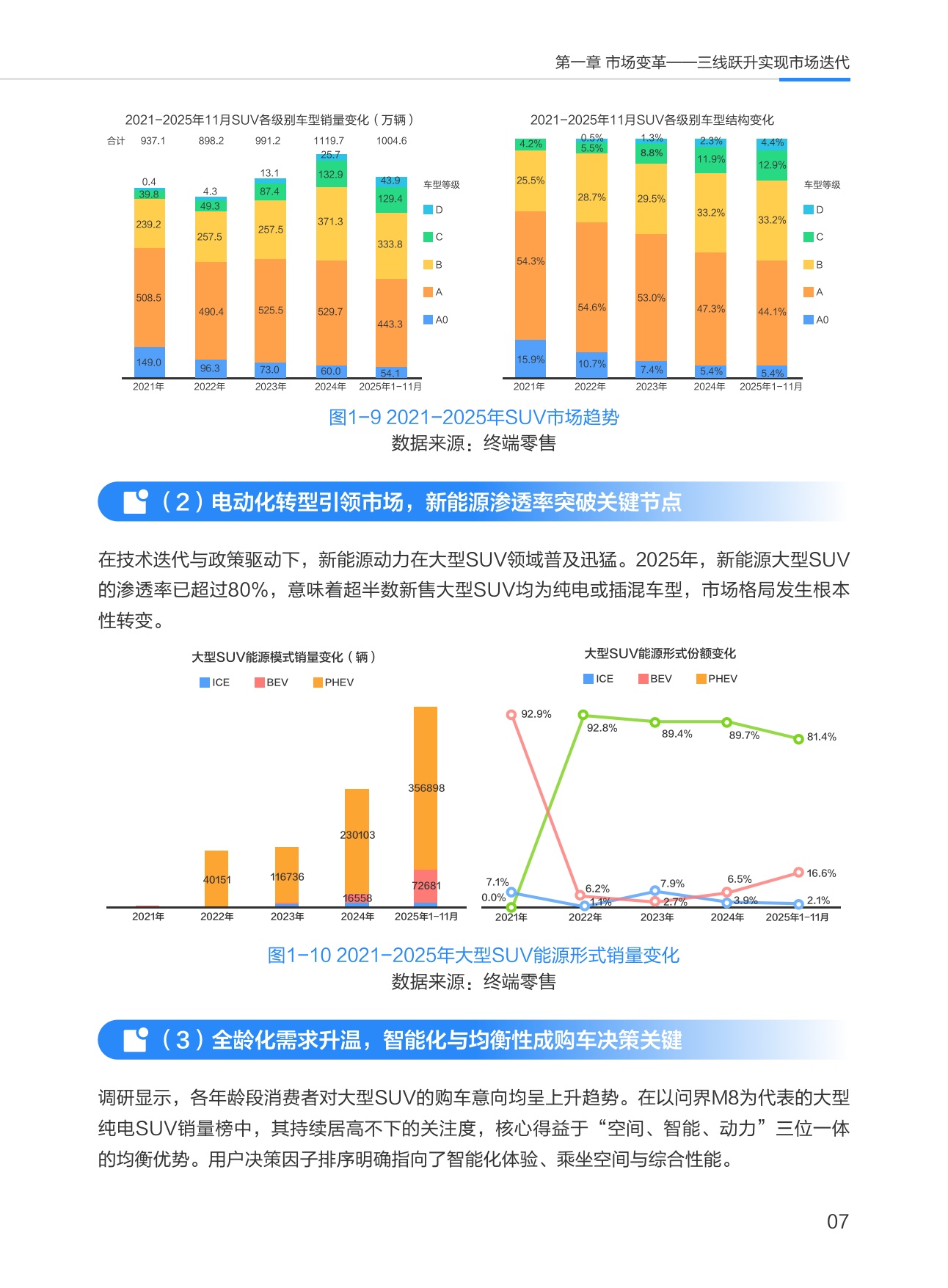 中国大型SUV市场数据洞察报告.pdf