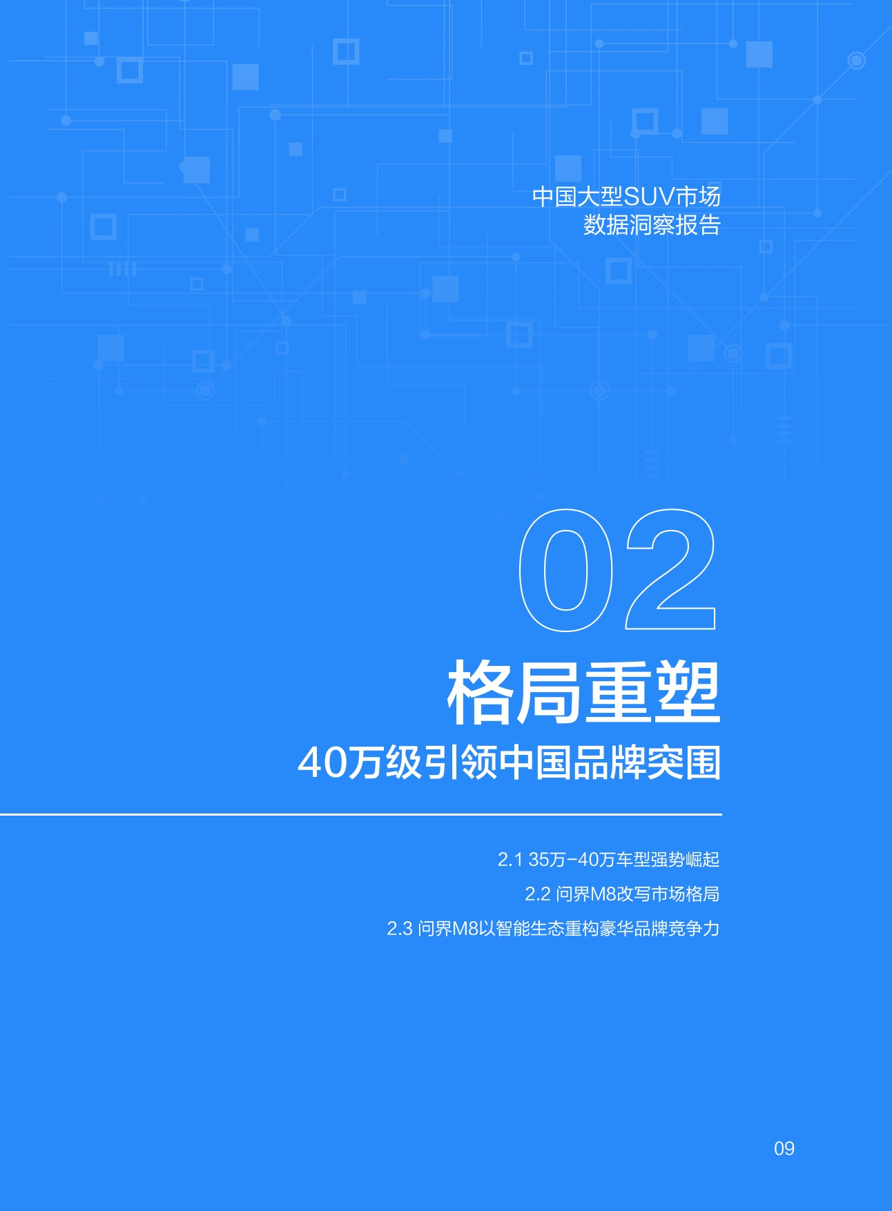中国大型SUV市场数据洞察报告.pdf