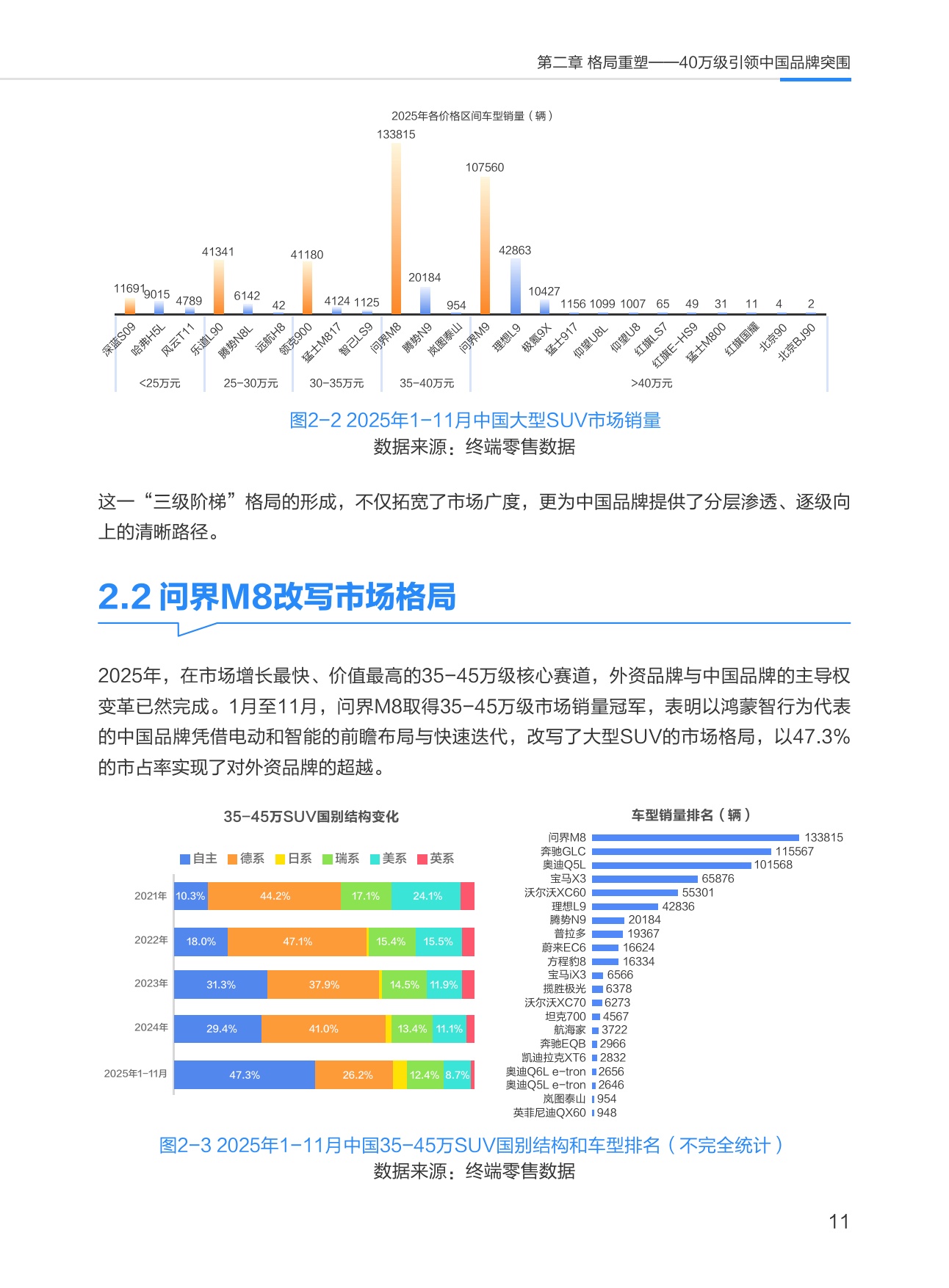 中国大型SUV市场数据洞察报告.pdf