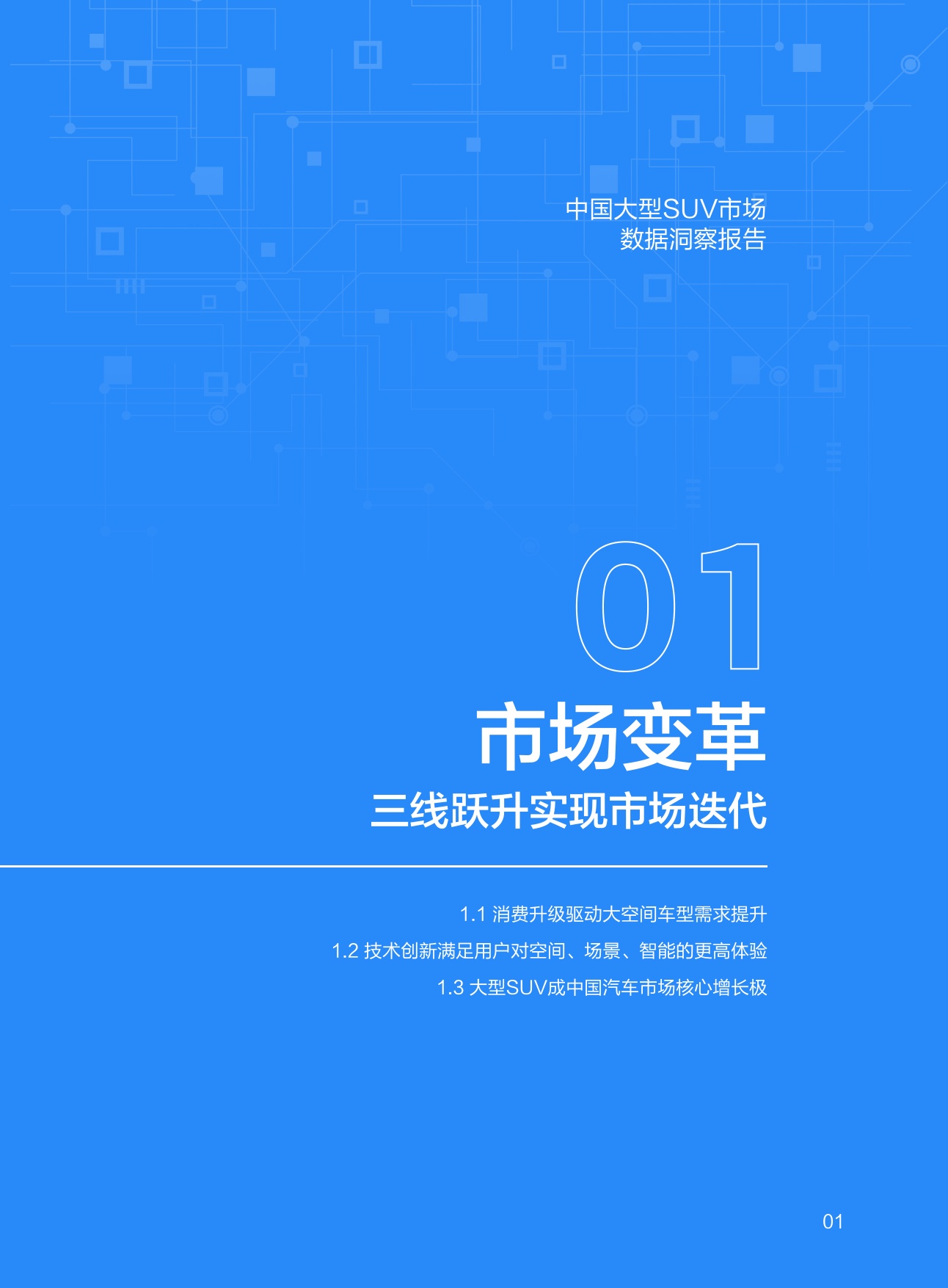 中国大型SUV市场数据洞察报告.pdf