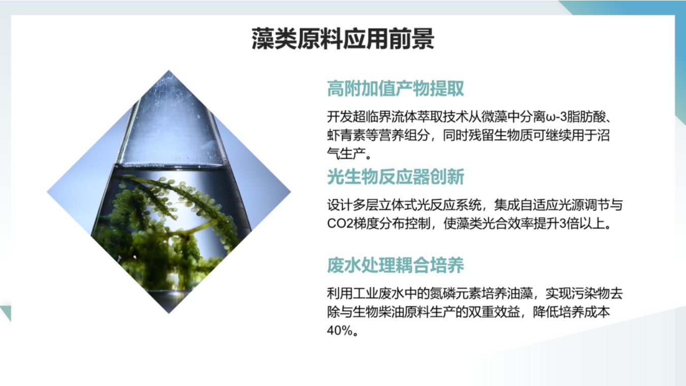 中国化工学会：未来可再生原料发展方向与技术研发策略.pdf