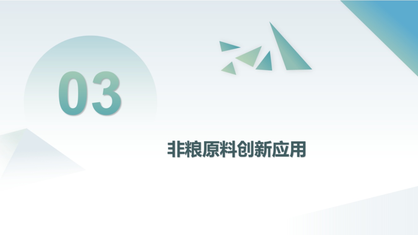 中国化工学会：未来可再生原料发展方向与技术研发策略.pdf