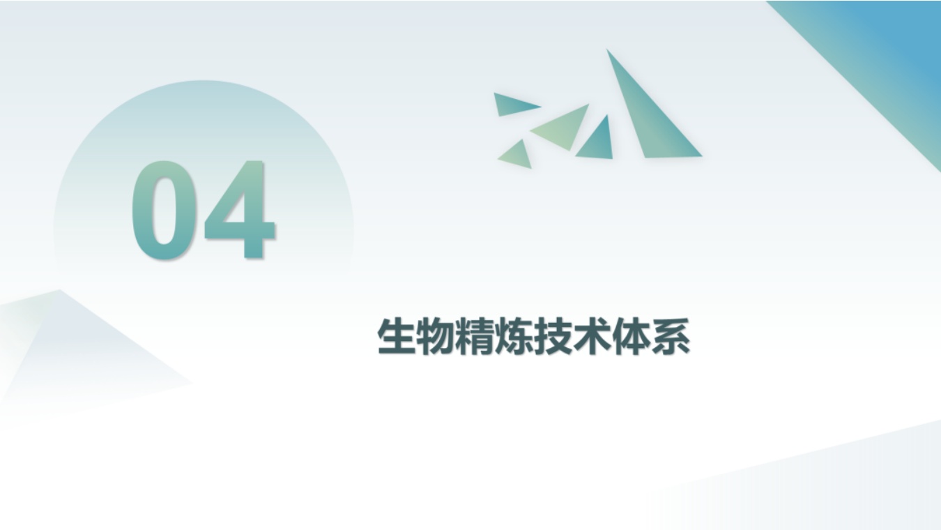 中国化工学会：未来可再生原料发展方向与技术研发策略.pdf