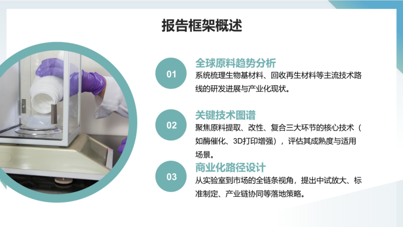 中国化工学会：未来可再生原料发展方向与技术研发策略.pdf