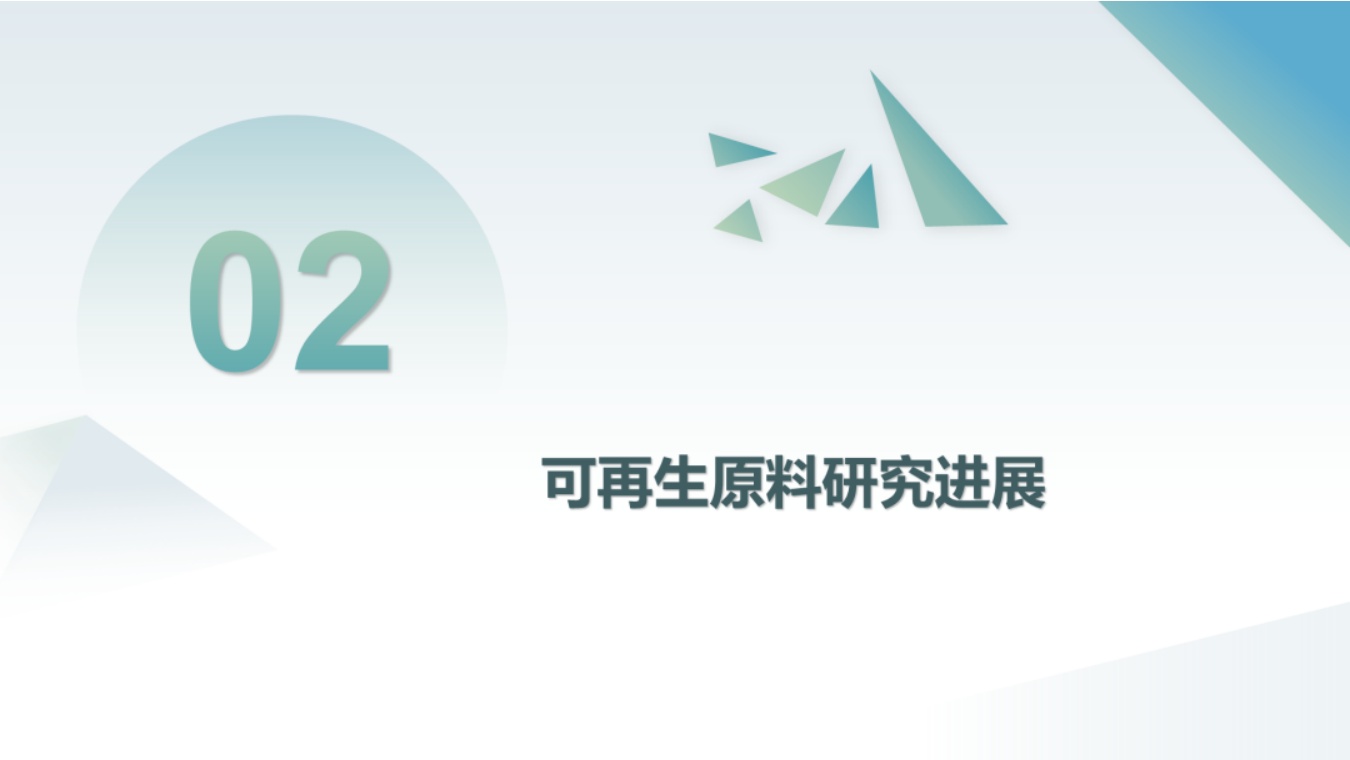 中国化工学会：未来可再生原料发展方向与技术研发策略.pdf