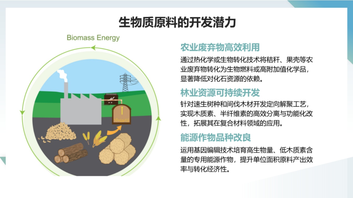 中国化工学会：未来可再生原料发展方向与技术研发策略.pdf
