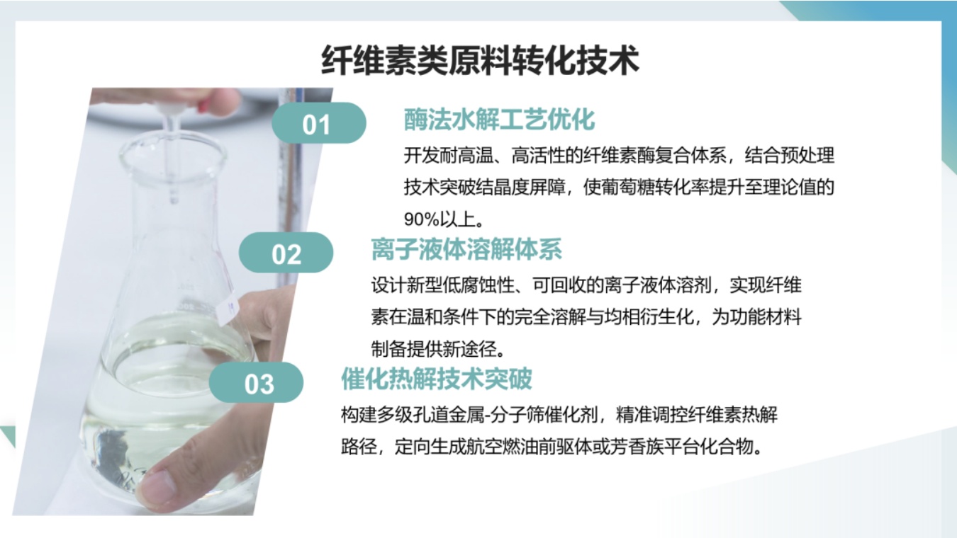 中国化工学会：未来可再生原料发展方向与技术研发策略.pdf