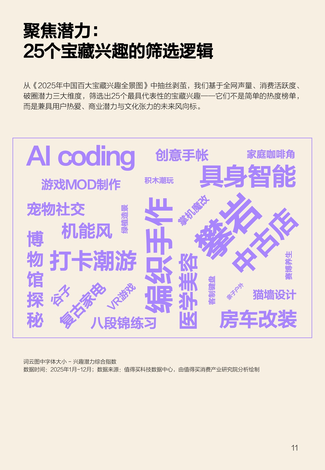 2025年宝藏兴趣报告-什么值得买.pdf