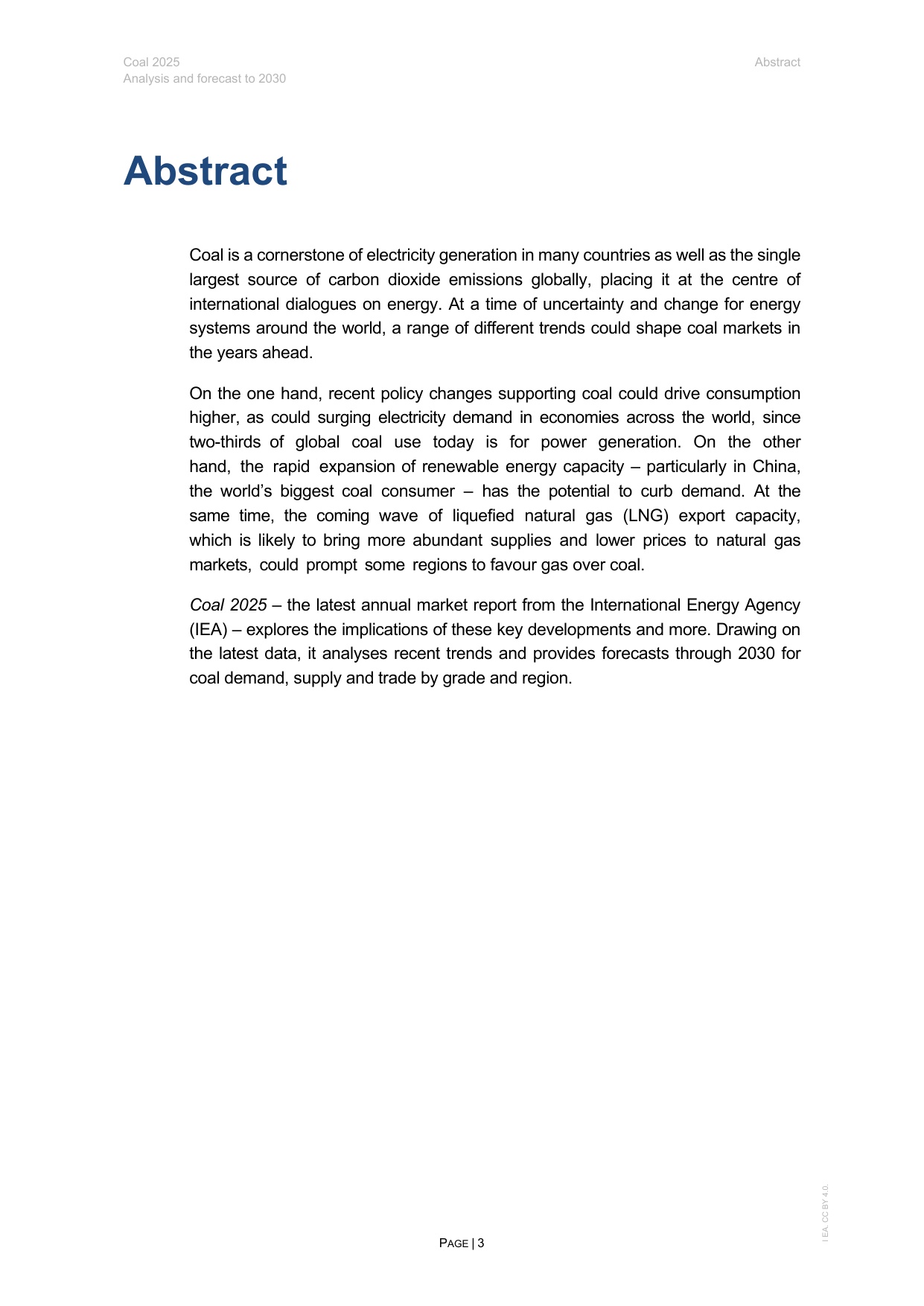 2025年煤炭报告.pdf