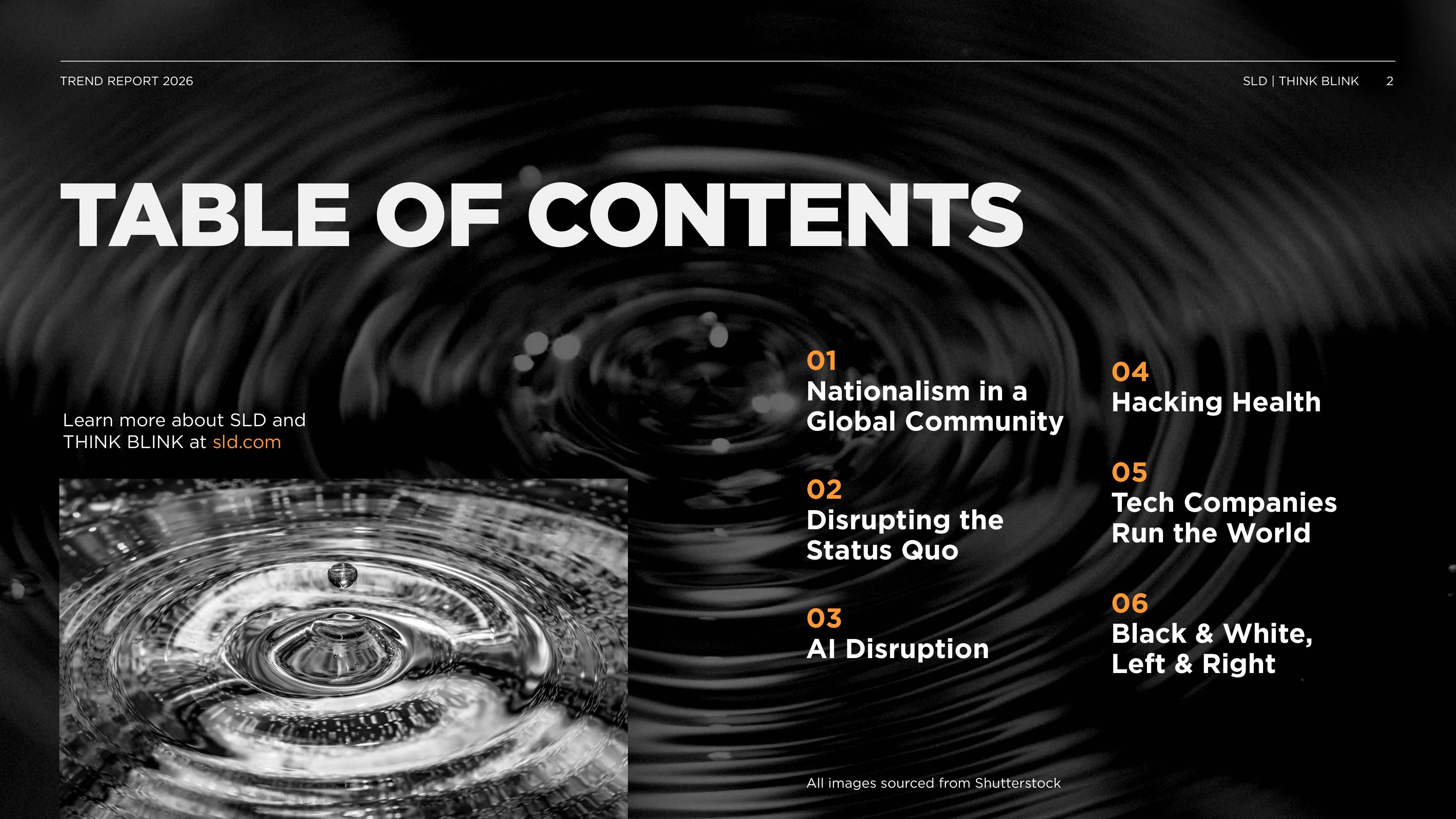 SLDTHINK BLINK：2026年趋势报告：影响消费者行为的六大主题（英文版）.pdf