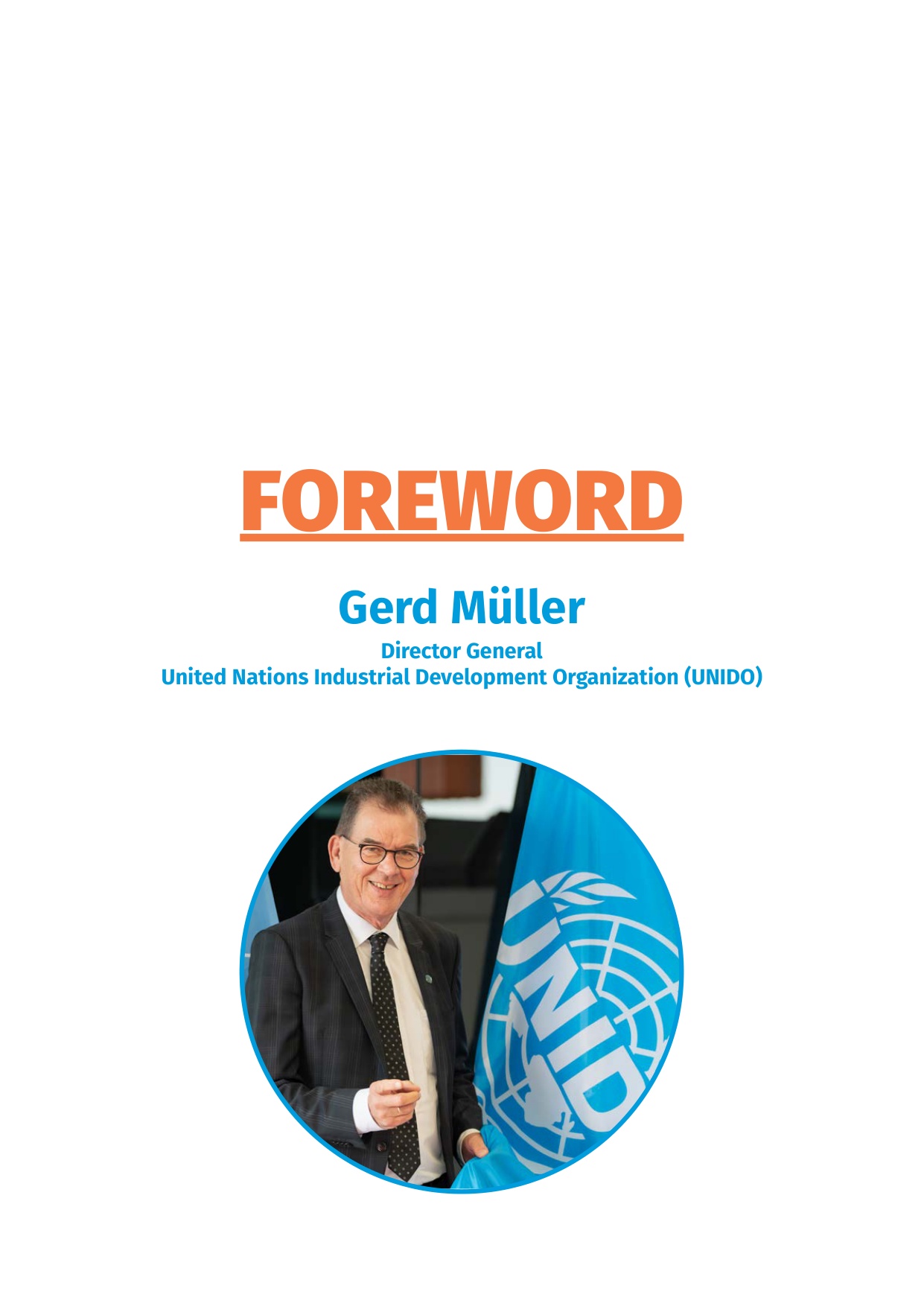UNIDO联合国工业发展组织：2026年工业发展报告（英文版）.pdf