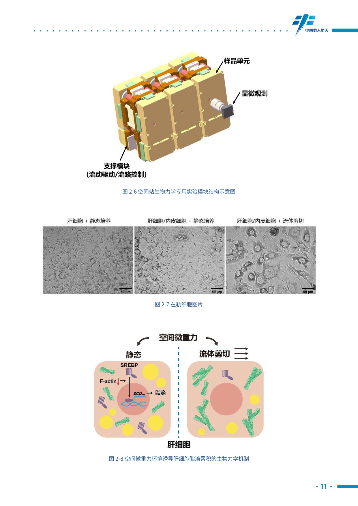中国载人航天工程网：中国空间站科学研究与应用进展报告（2025年）.pdf