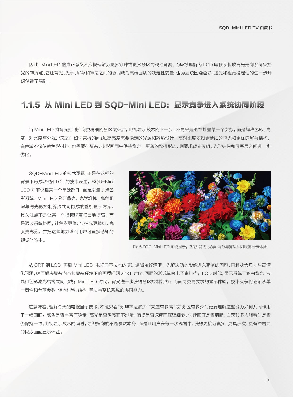 2026SQD-MiniLEDTV白皮书-迪显咨询DISCIEN.pdf