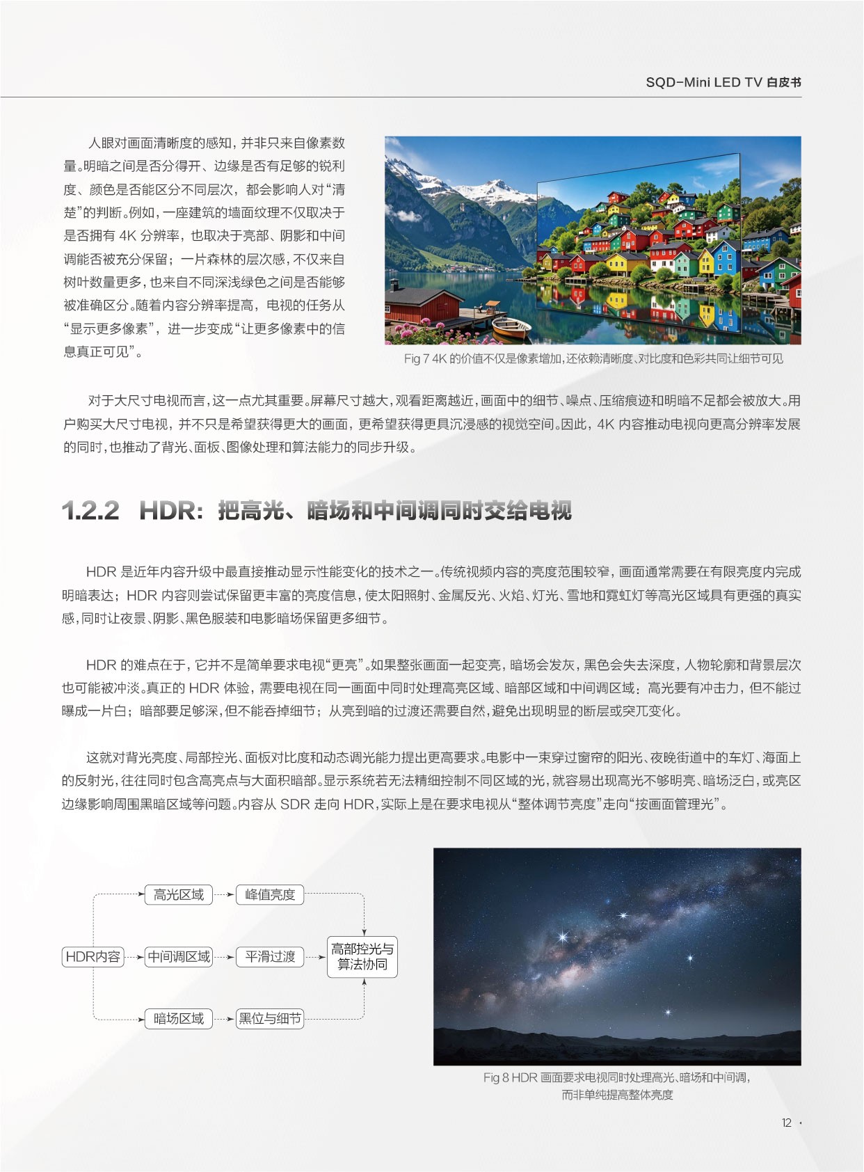 2026SQD-MiniLEDTV白皮书-迪显咨询DISCIEN.pdf