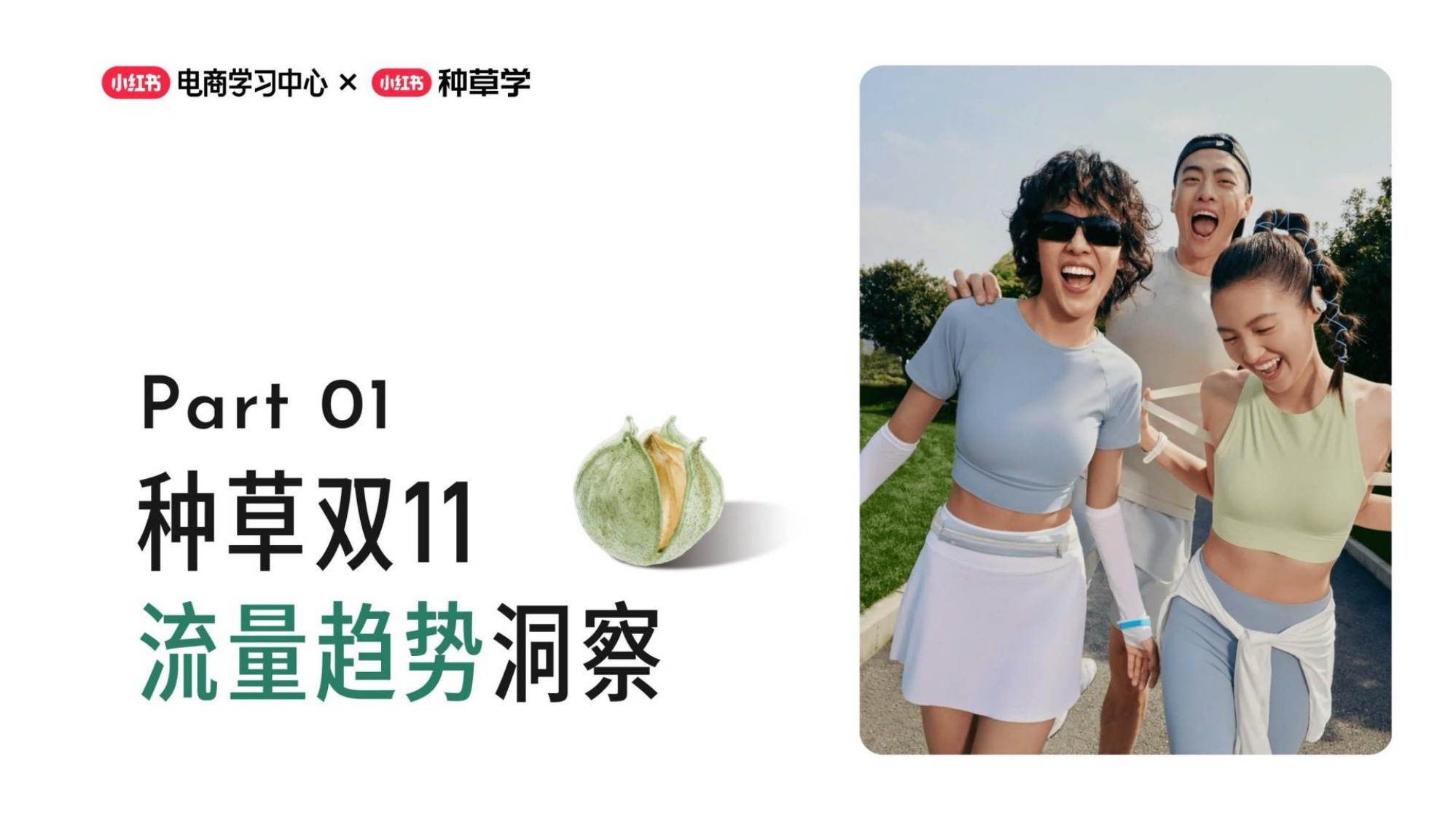 电商行业：双11备战手册-行吟信息科技.pdf