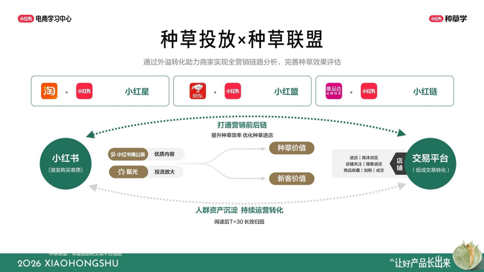 电商行业：双11备战手册-行吟信息科技.pdf