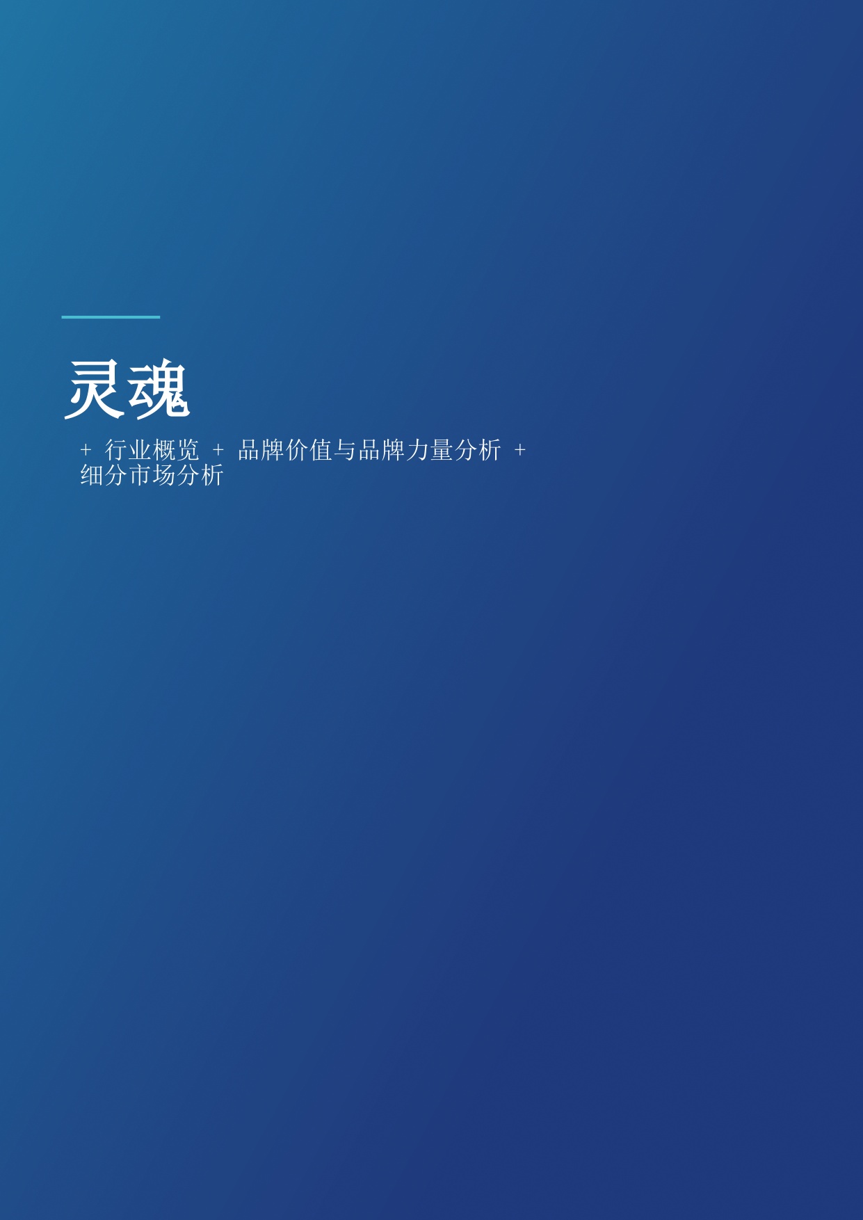 酒精饮料2026.pdf
