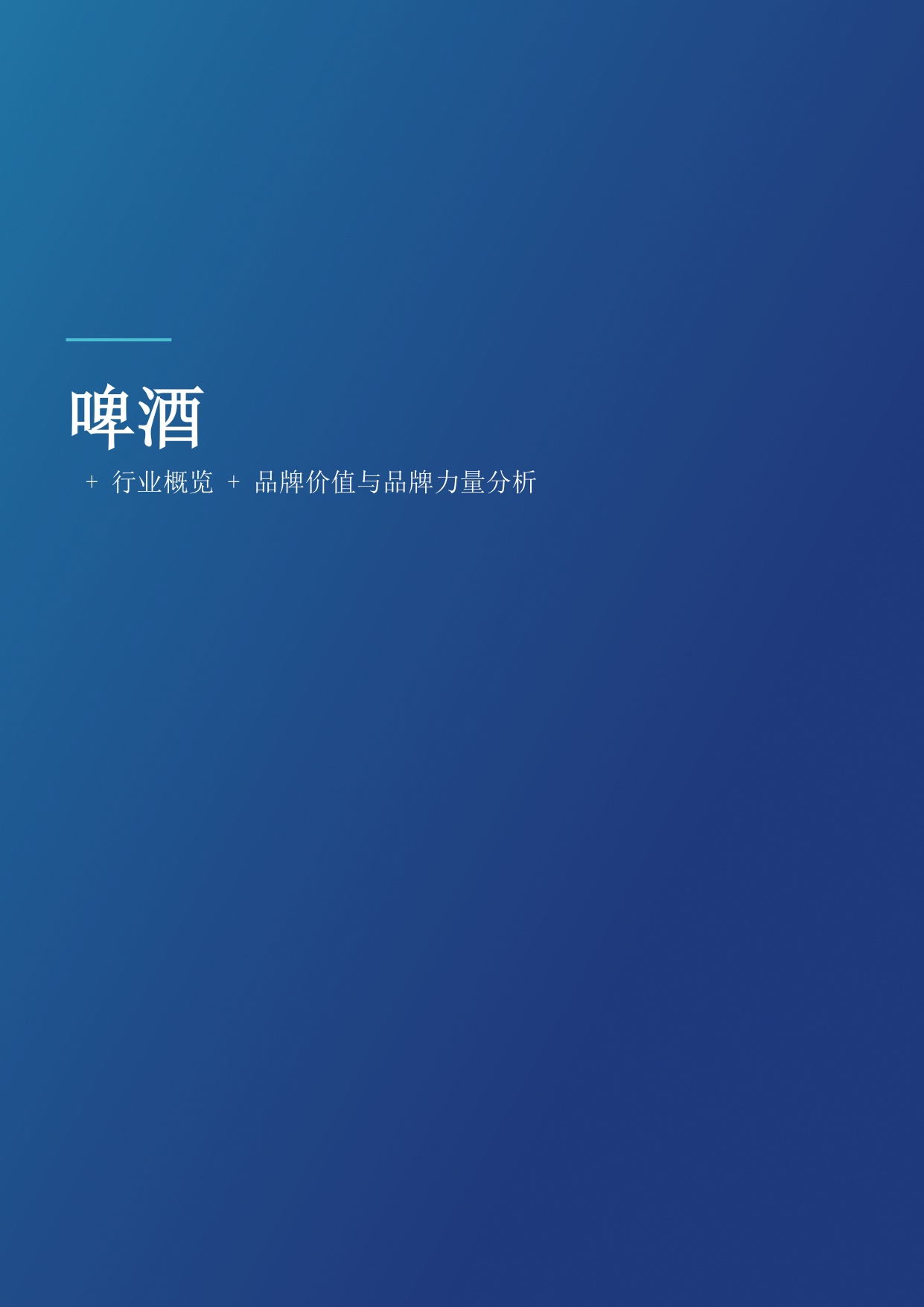 酒精饮料2026.pdf